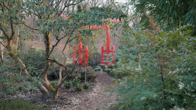 Japanese garden design in Sanssouci Park Botanical garden. Potsdam, Germany