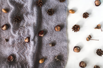 Grey knitwork with chestnuts, pinecones, acorns. Autumn cozy background.