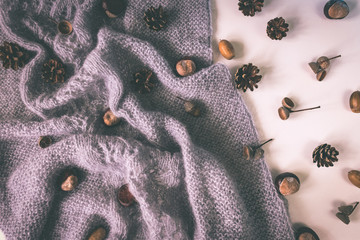 Grey knitwork with chestnuts, pinecones, acorns. Retro cozy background.