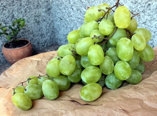 grappolo d'uva