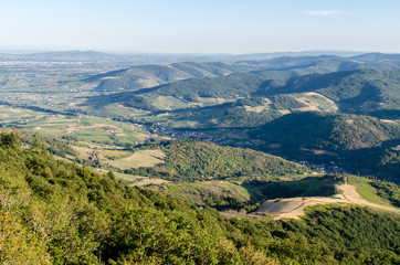 View of the green Beaujolais