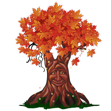 Fantasy Deciduous Tree With Face In The Fall Isolated On White Background. Golden Autumn In The Enchanted Forest. Vector Cartoon Close-up Illustration.