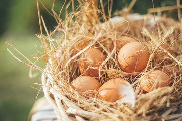Chicken eggs lie in a wicker basket with hay