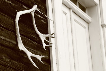 Antlers next to a house door in Sweden
