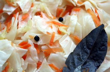 fresh cabbage salad with carrots for the winter