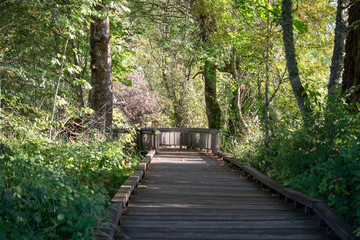 Obraz premium Wildlife Refuge