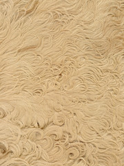 Natural goat or sheep beige fur texture 