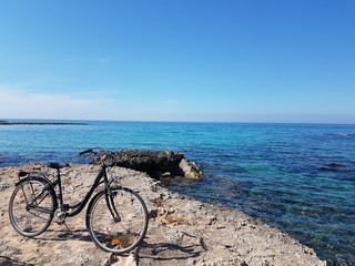 Obraz premium in fondo al viale