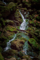 Kleiner Arbersee 2018-12   Sollerbach Wasserfälle in der nähe des kleinen Arbersees im...