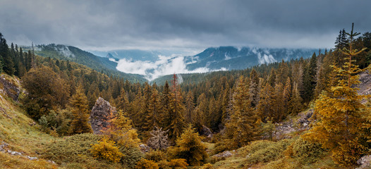 Panoramic Image Rainforest Perucica National