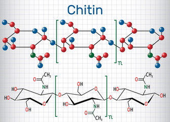 Chitin molecule. Structural chemical formula and molecule model. Sheet of paper in a cage - obrazy, fototapety, plakaty