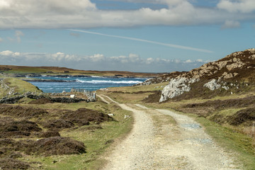 road to the sea