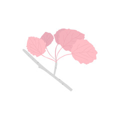 Aspen branch with pink leaves