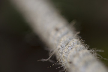 rope close up
