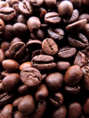 Close up portrait of dense bunch of aromatic roasted brown coffee beans in variety of brown shades