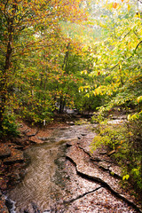 Tanyard Creek
