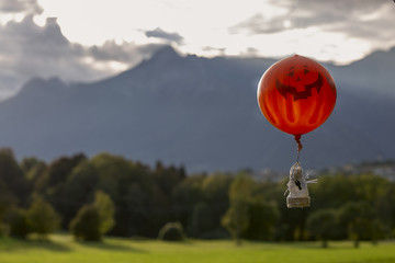 Halloween pumpkin Flies