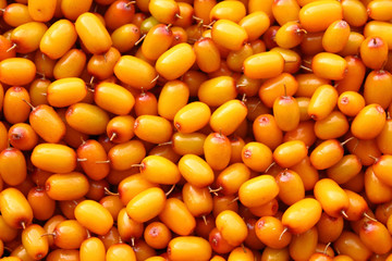 Ripe orange sea buckthorn. Close-up. View from above. Background. Texture.