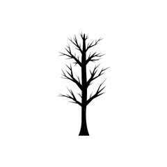 Silhouettes of a tree without leaves