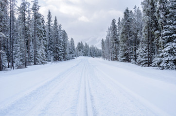 Forest Road Covered in Fresh Snow in the Canadian Rockies on a Winter Day. Concept of dangerous driving conditions.