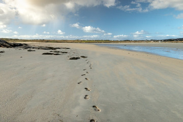 beach and sea footprints