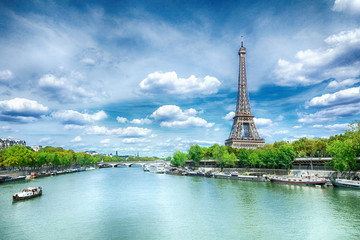 View of Paris with Eiffel tower - obrazy, fototapety, plakaty