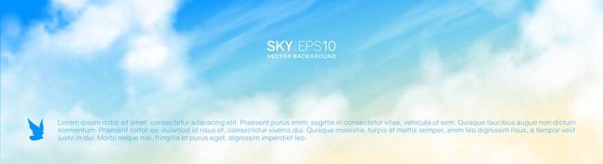 Naklejka na ściany i meble Narrow horizontal vector banner with realistic beige-blue sky and cumulus clouds. The image can be used to design a flyer and postcard.