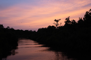 Pues de sol en el r&iacute;o de Borneo