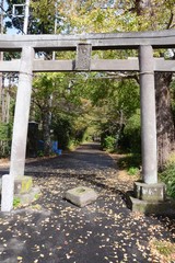 A small Shinto shrine in Japan