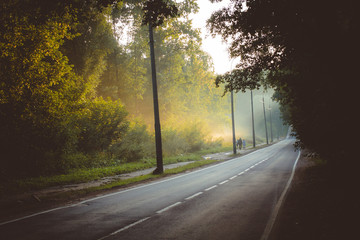 Highways and evaporation after rain, strong humidity
