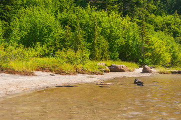 Lake, beach and bush