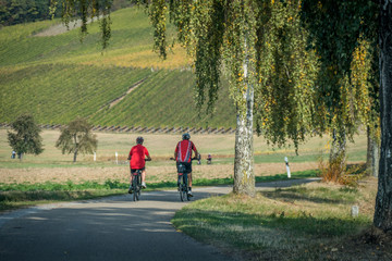 Fototapeta premium Älteres Paar beim Radfahren