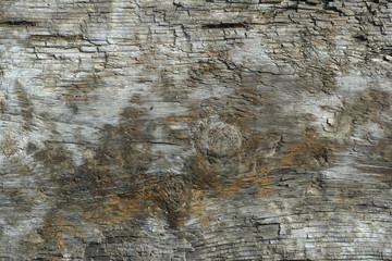 old wood texture background
