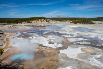 Porcelain Basin in Yellowstone National Park