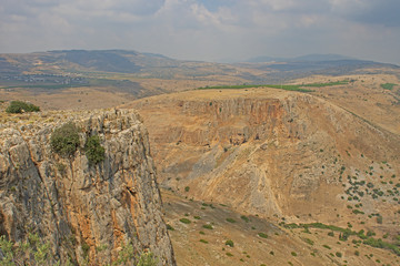 Desert View from A High Mountain