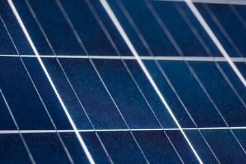 solar panels  plant