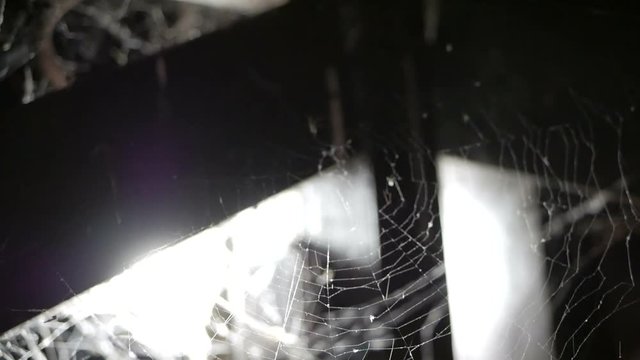 Spider web in the dark. Creepy scene