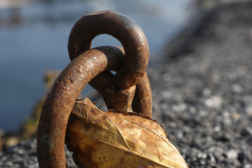 Naklejka premium old rusty chain