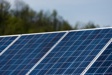 Obraz premium solar panels plant
