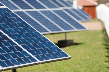 solar panels  plant