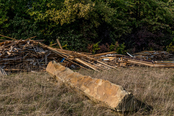 Altholz in der Natur