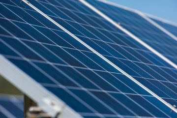 solar panels  plant