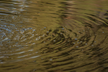 Fototapeta na wymiar water reflexion10