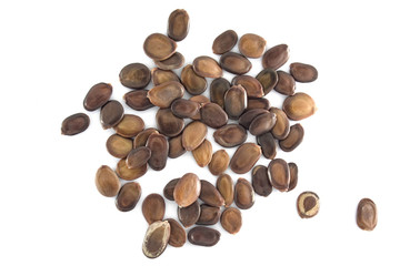 coffee beans isolated on white background