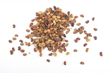 pile of dried seeds isolated on white background