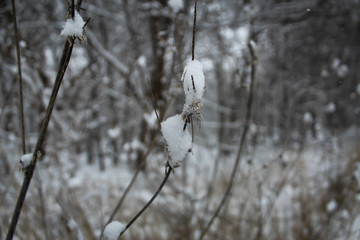 late spring snowstorm Iowa April 2018