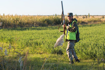 Hunter with a german drathaar and spaniel, pigeon hunting with dogs in reflective vests	