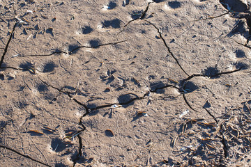 A lifeless land, craquelure