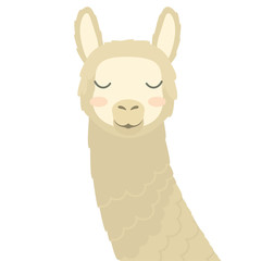 cute vector portrait of animal: Llama