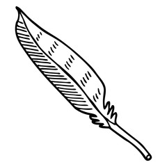 black and white cartoon feather